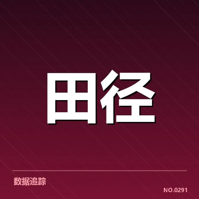 运动员技术细节与战术调整
